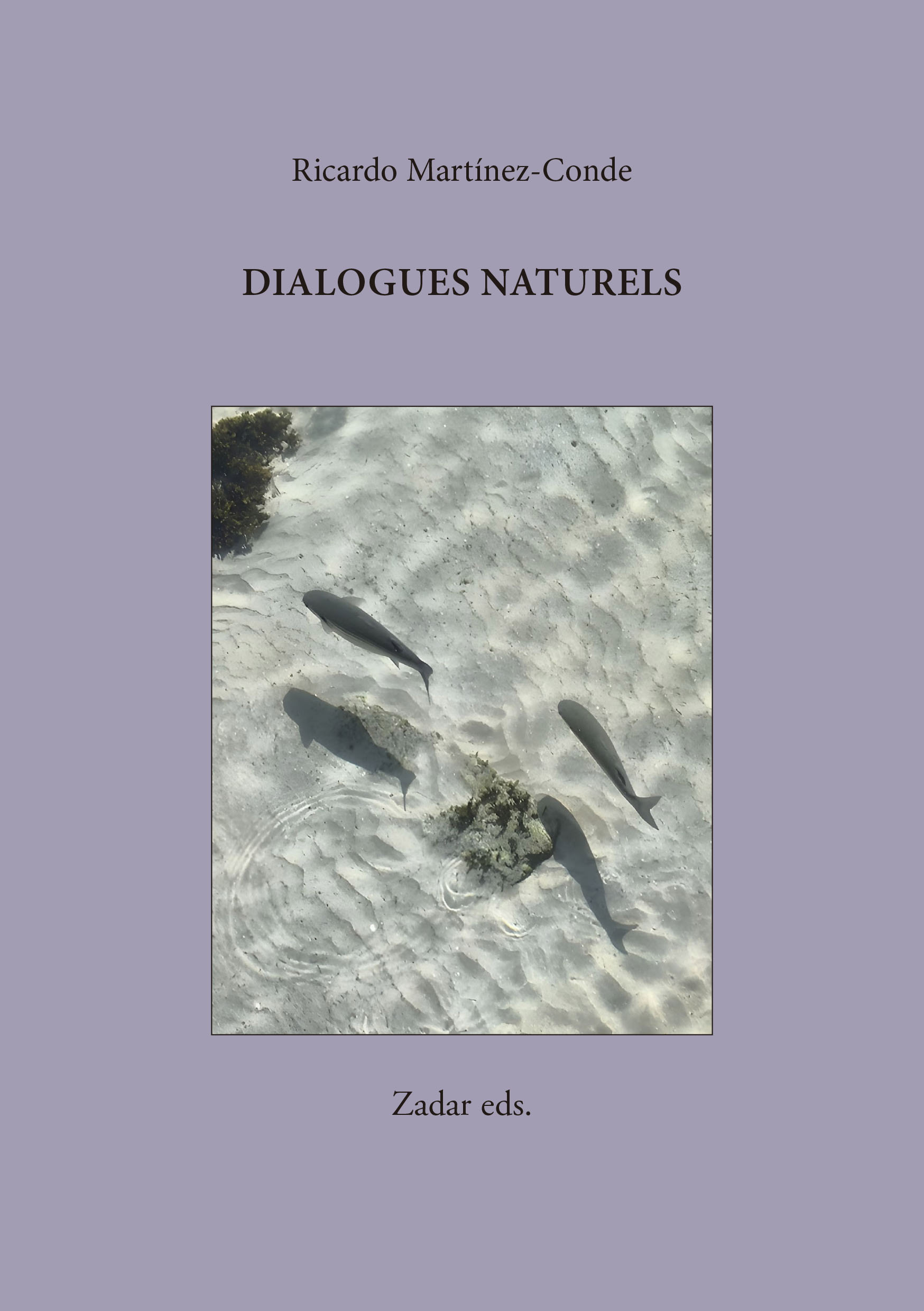 En este momento estás viendo Dialogues naturels