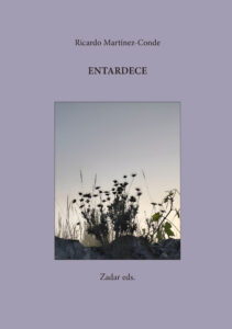 Lee más sobre el artículo Entardece