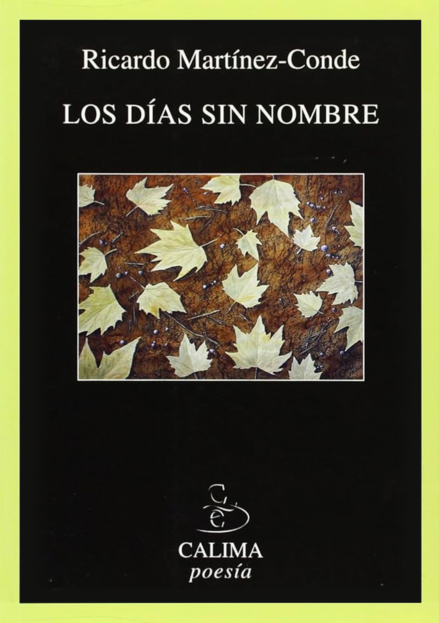 En este momento estás viendo Los días sin nombre