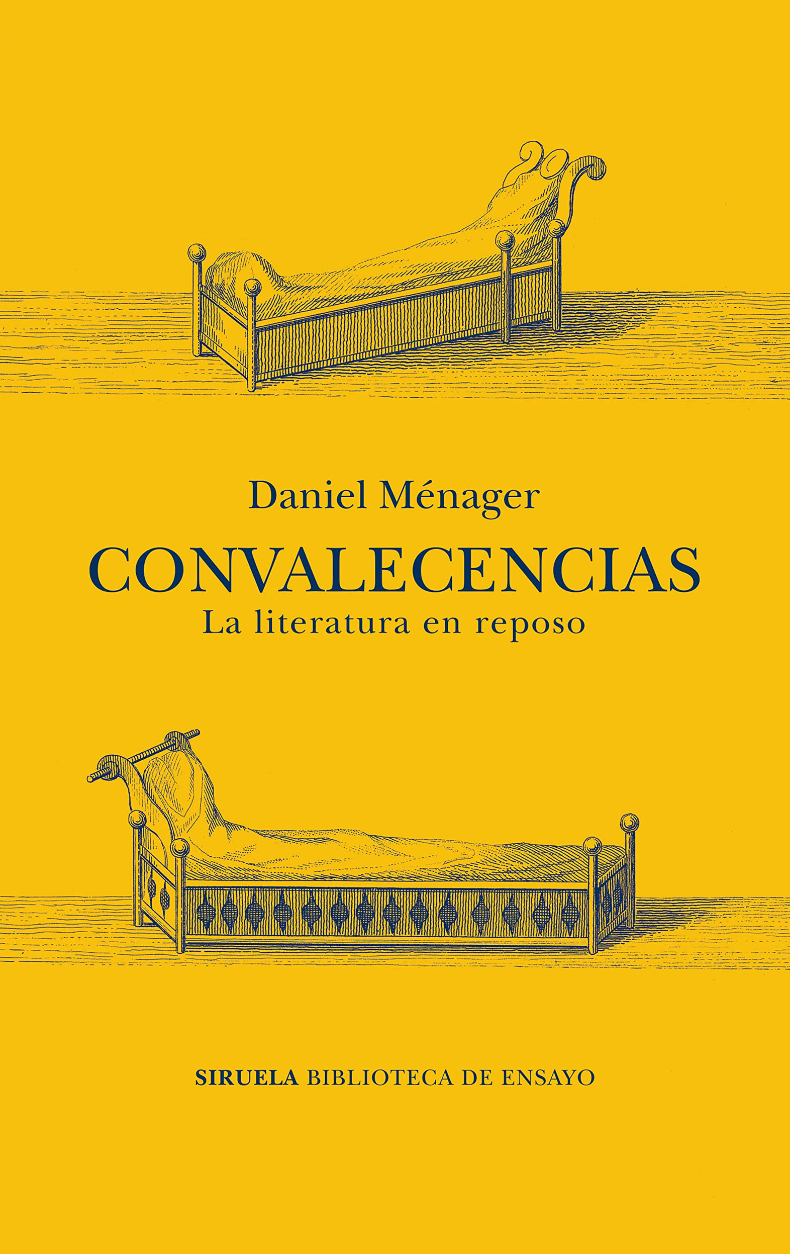 En este momento estás viendo Convalecencias. La literatura en reposo