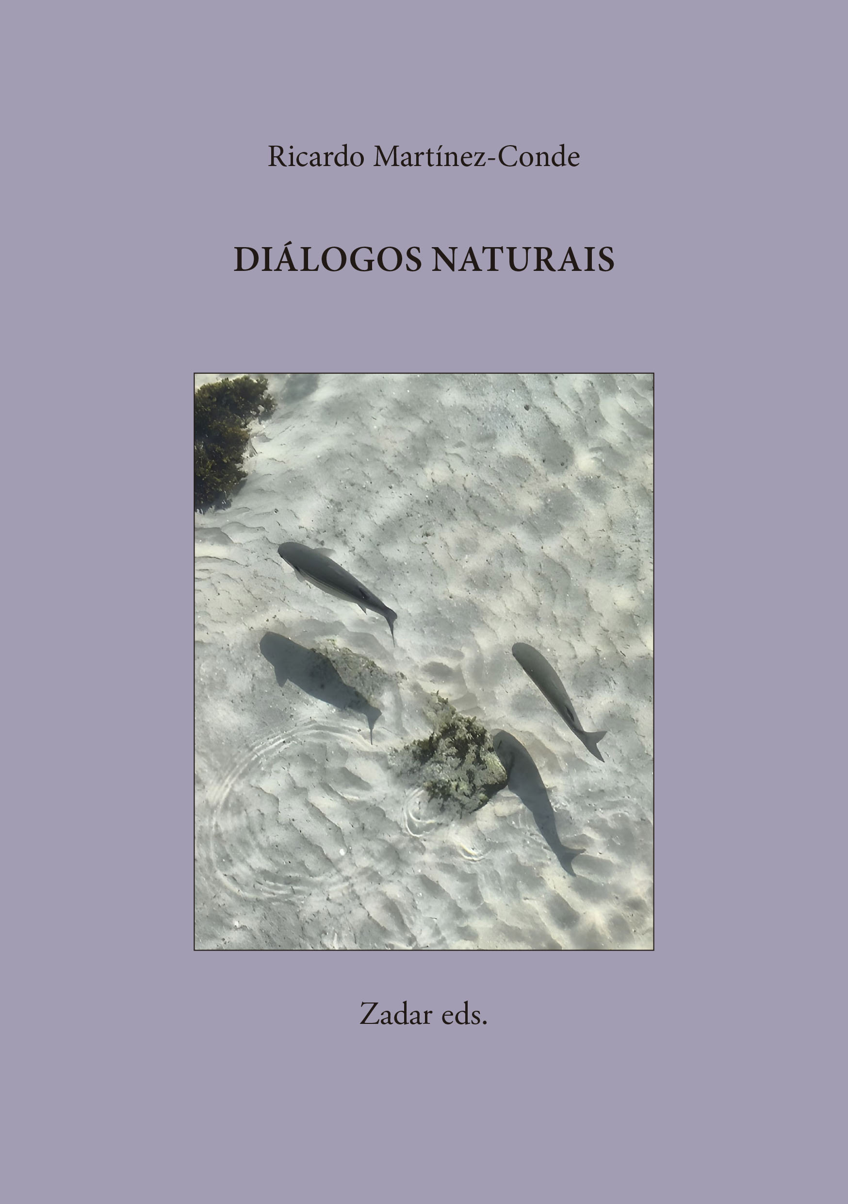 En este momento estás viendo Dialogues naturels