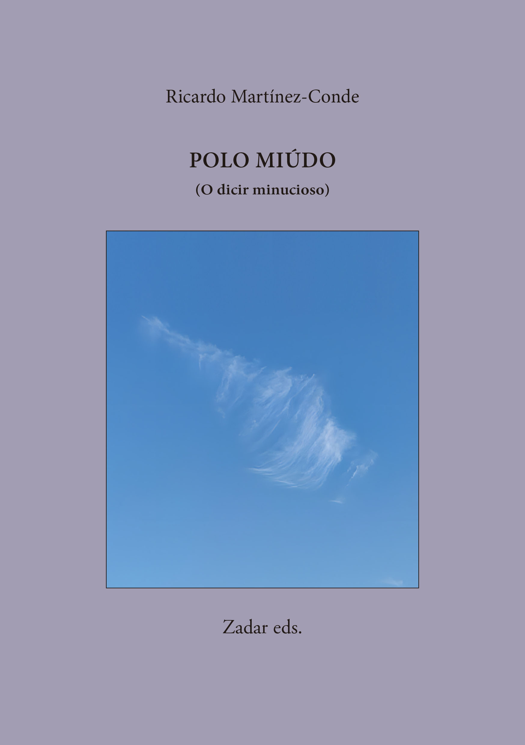 En este momento estás viendo Polo miúdo (O dicir minucioso)