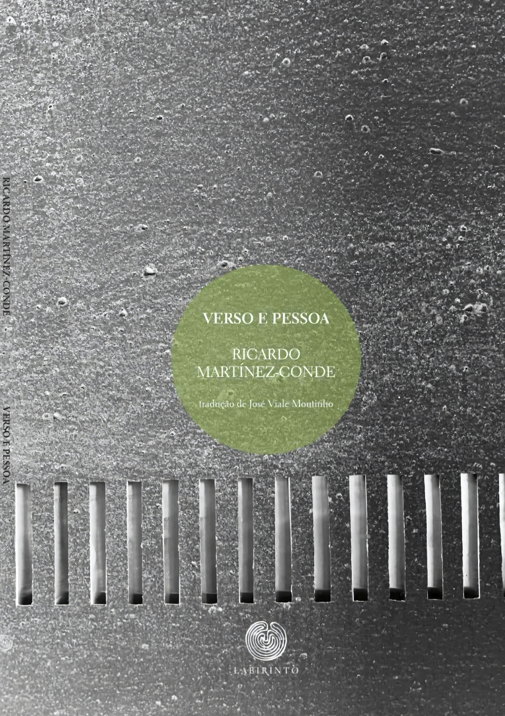 En este momento estás viendo Verso e Pessoa