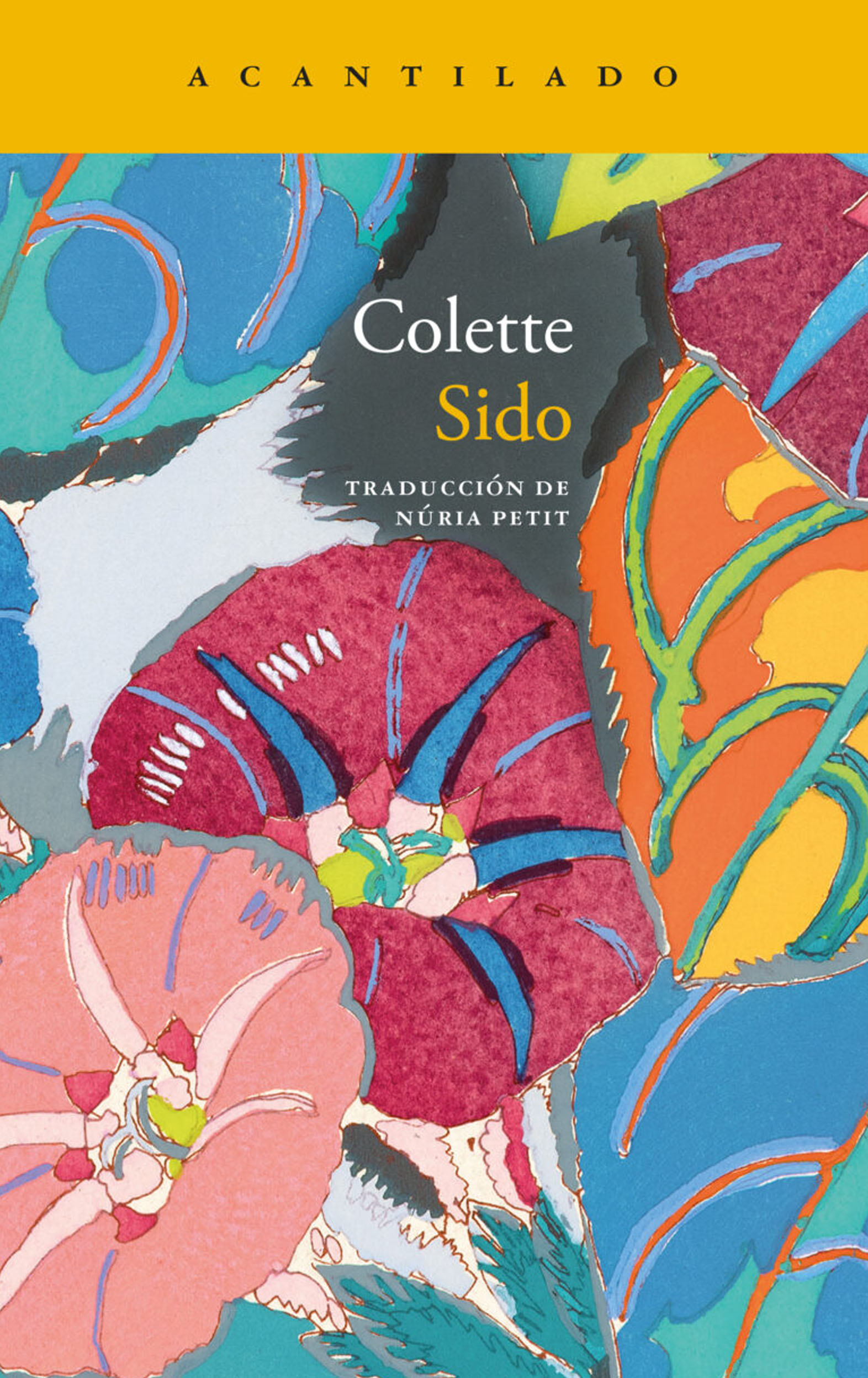 En este momento estás viendo Colette, de Sido